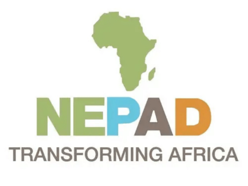 A complete view of the NEPAD logo, featuring the silhouette of Africa in green, and the acronym NEPAD with letters in green, blue, brown, and orange. Below the acronym, the slogan "Transforming Africa" is written in grey.