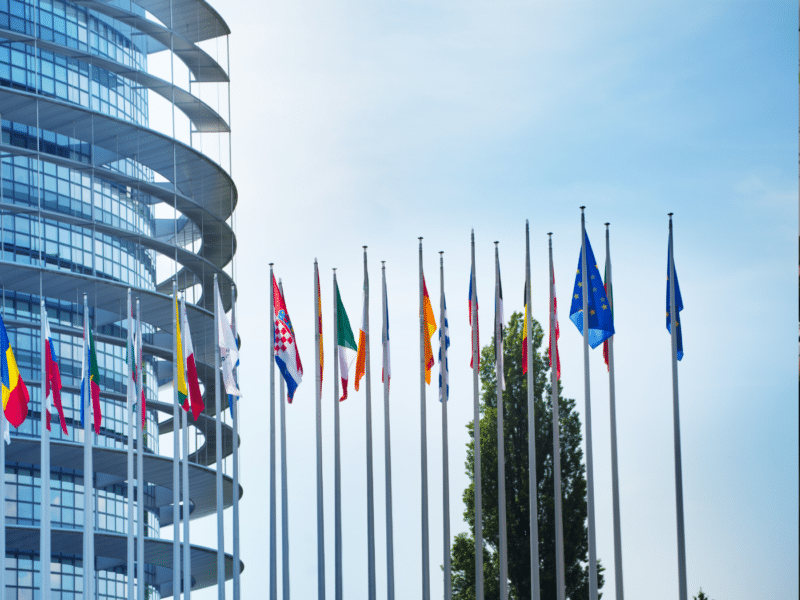 A view of the European Parliament building in Strasbourg, France. The building features a modern design with a curved, glass facade that reflects the sky. In front of the building, a row of flagpoles displays the flags of various European Union Member States, as well as the EU flag itself, which is prominently featured in the foreground. The flags are fluttering in the wind against a clear blue sky.