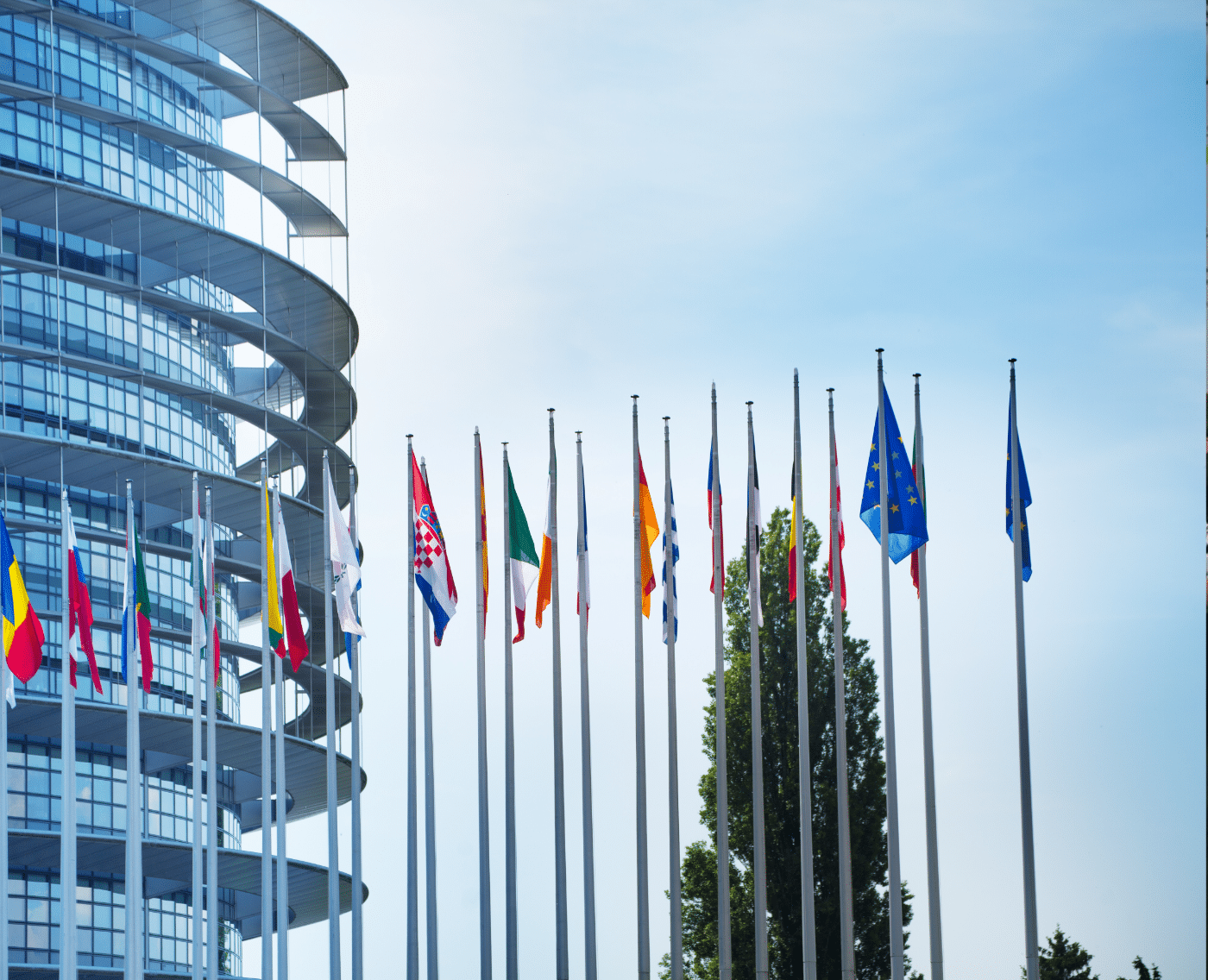 A view of the European Parliament building in Strasbourg, France. The building features a modern design with a curved, glass facade that reflects the sky. In front of the building, a row of flagpoles displays the flags of various European Union Member States, as well as the EU flag itself, which is prominently featured in the foreground. The flags are fluttering in the wind against a clear blue sky.
