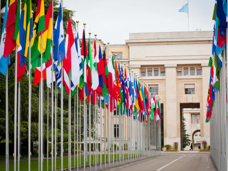 The image shows a long avenue lined with numerous national flags representing different countries, raised on tall flagpoles. At the end of the avenue stands the Palace of Nations in Geneva, a grand building that serves as the headquarters of the United Nations in Geneva. In the background, the United Nations flag flies prominently atop the building.