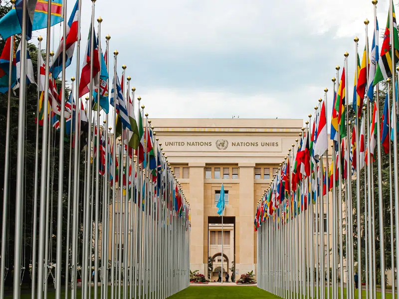 A wide pathway lined with rows of national flags leads to the Palais des Nations building, the United Nations' office in Geneva, Switzerland. The beige building features "United Nations" written in English and French, and a blue UN flag at its entrance.