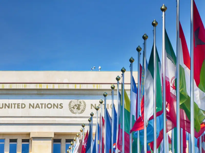 A row of international flags lined up in front of a building with the United Nations logo and the words "United Nations" visible. The flags are of various countries, representing the global nature of the institution. The sky is clear and blue, providing a bright backdrop to the scene. The composition highlights the diversity and international cooperation symbolised by the United Nations, emphasising global diplomacy and unity.